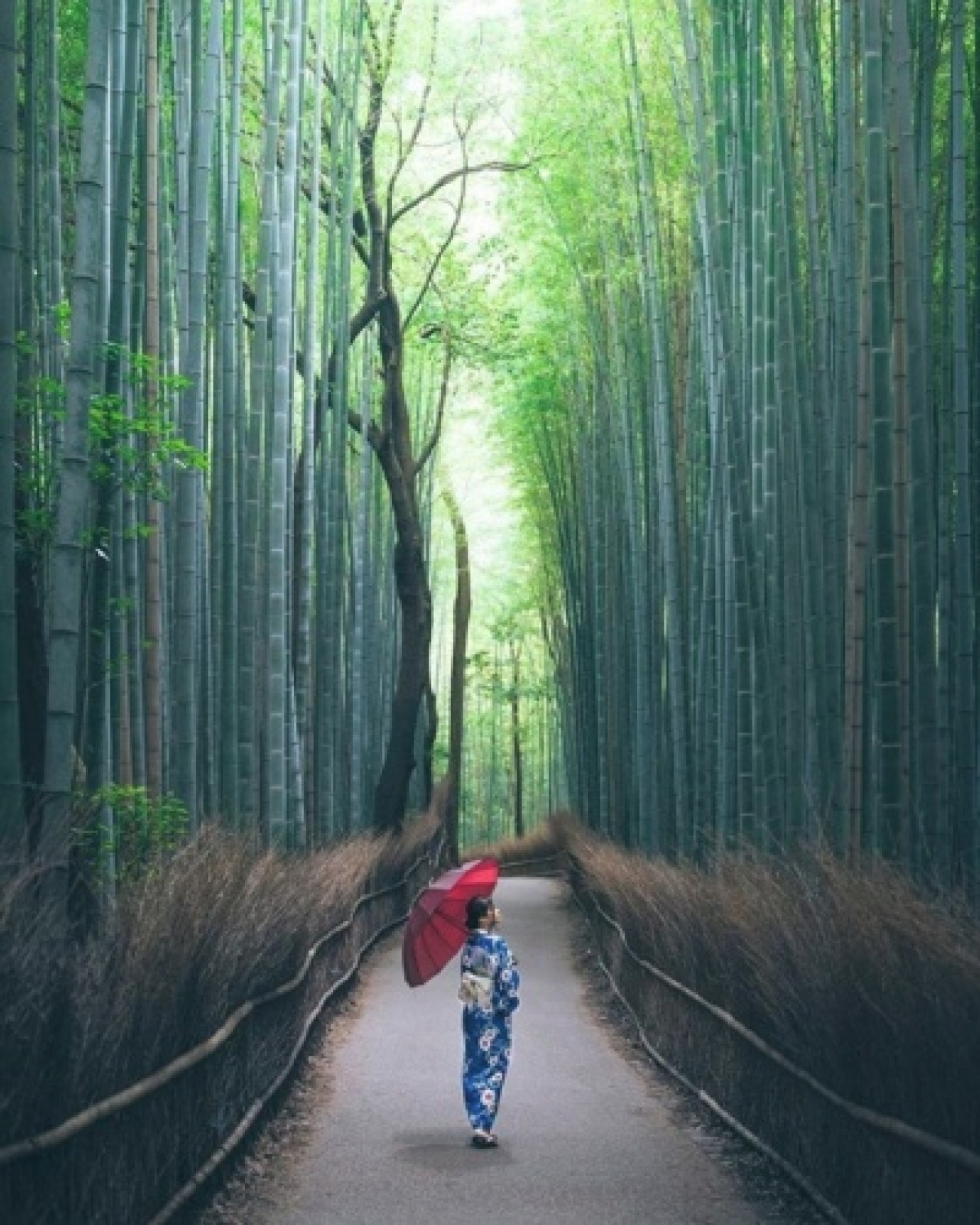 Ölmeden önce görülmesi gereken 20 fantastik yer 14