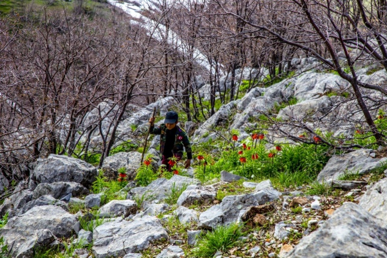 'Ağlayan gelin' fotoğraf tutkunlarının gözdesi oldu 9