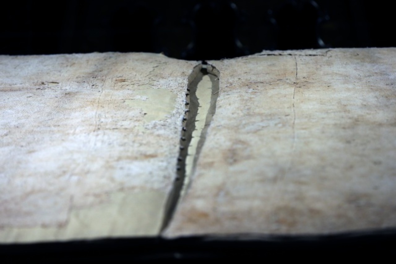 Hırka-i Şerif ziyarete açıldı 18