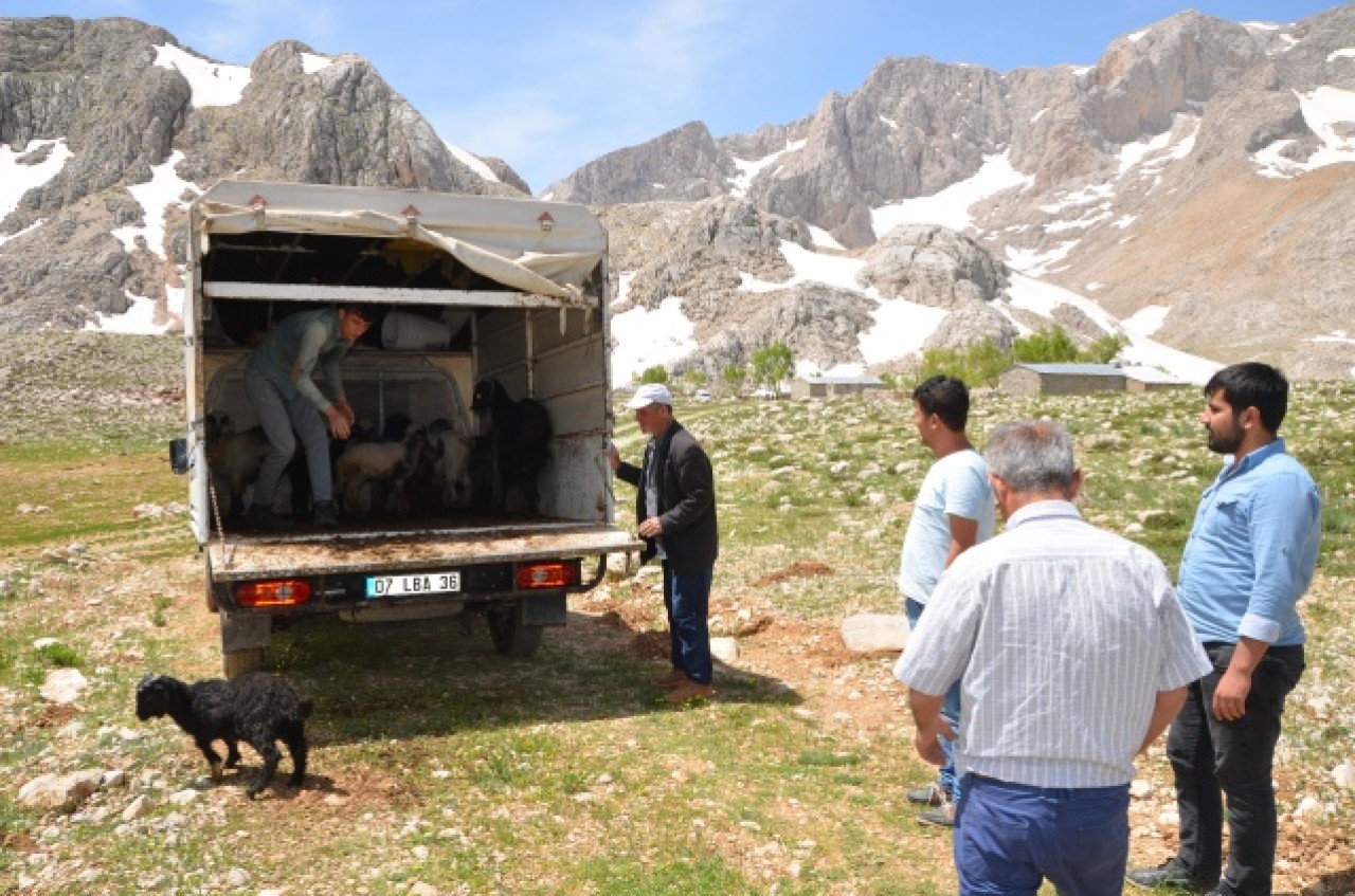 Yörükler yaylalara yerleşmeye başladı 9