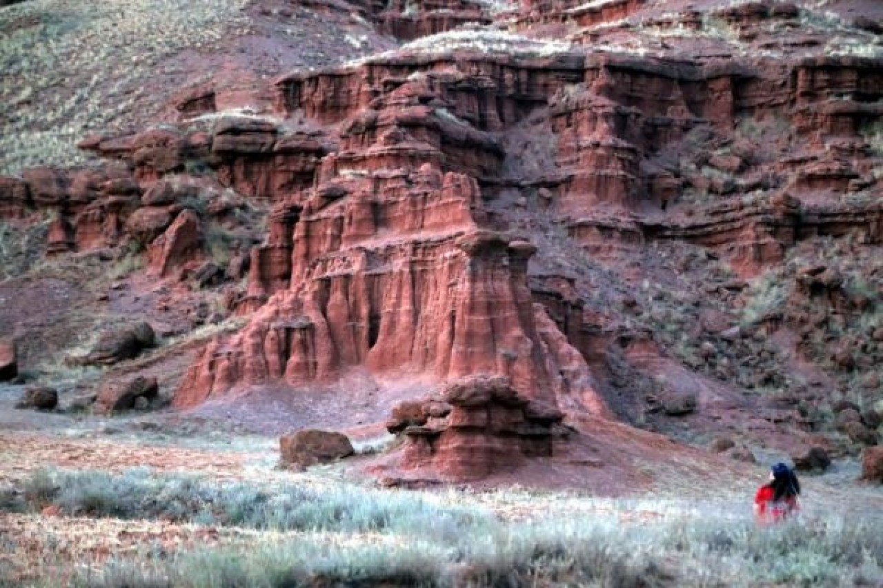 'Kırmızı periler diyarı'na 1, 5 milyon liralık proje 3