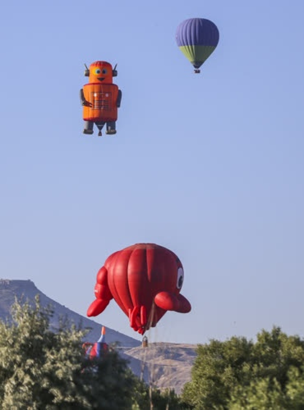 Uluslararası Kapadokya Sıcak Hava Balon Festivali 7