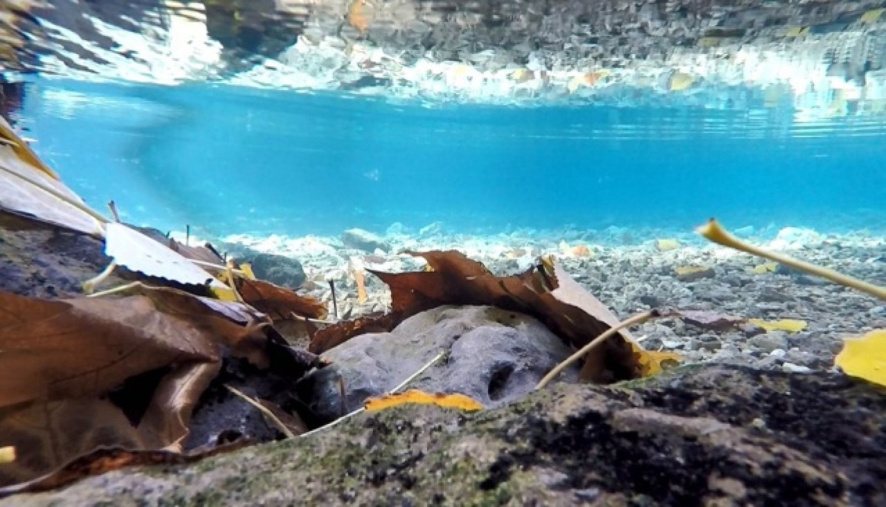 Suyunun rengi ve kaynağı bilinmiyor: Kahramanmaraş'ın gizemli cenneti Yeşilgöz 15