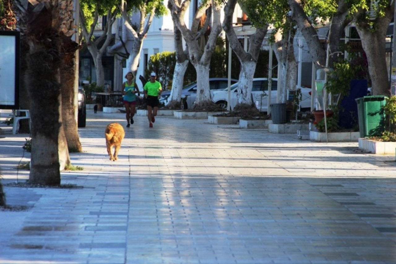 Bodrum'da sıra dışı bayram 10