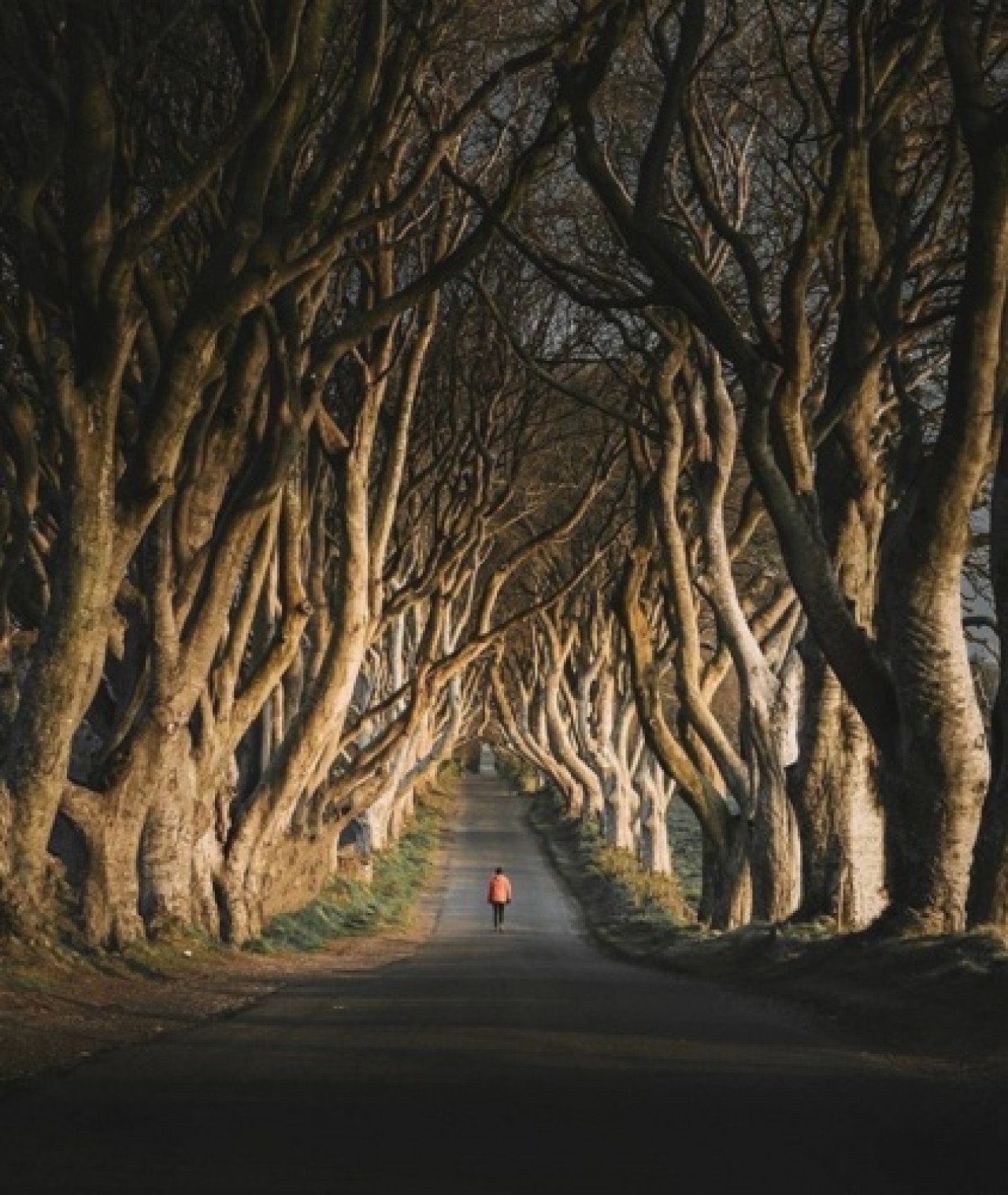 Ölmeden önce görülmesi gereken 20 fantastik yer 15