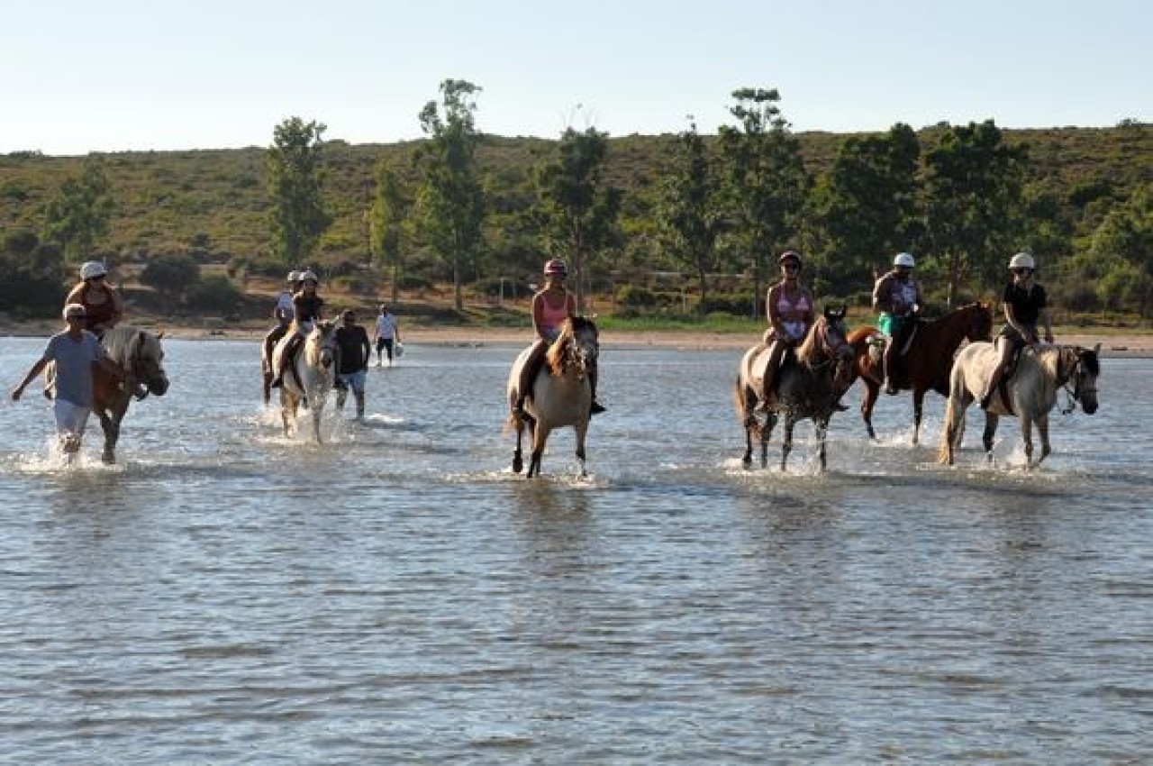 Turistlerden atlı safari turuna büyük ilgi 1
