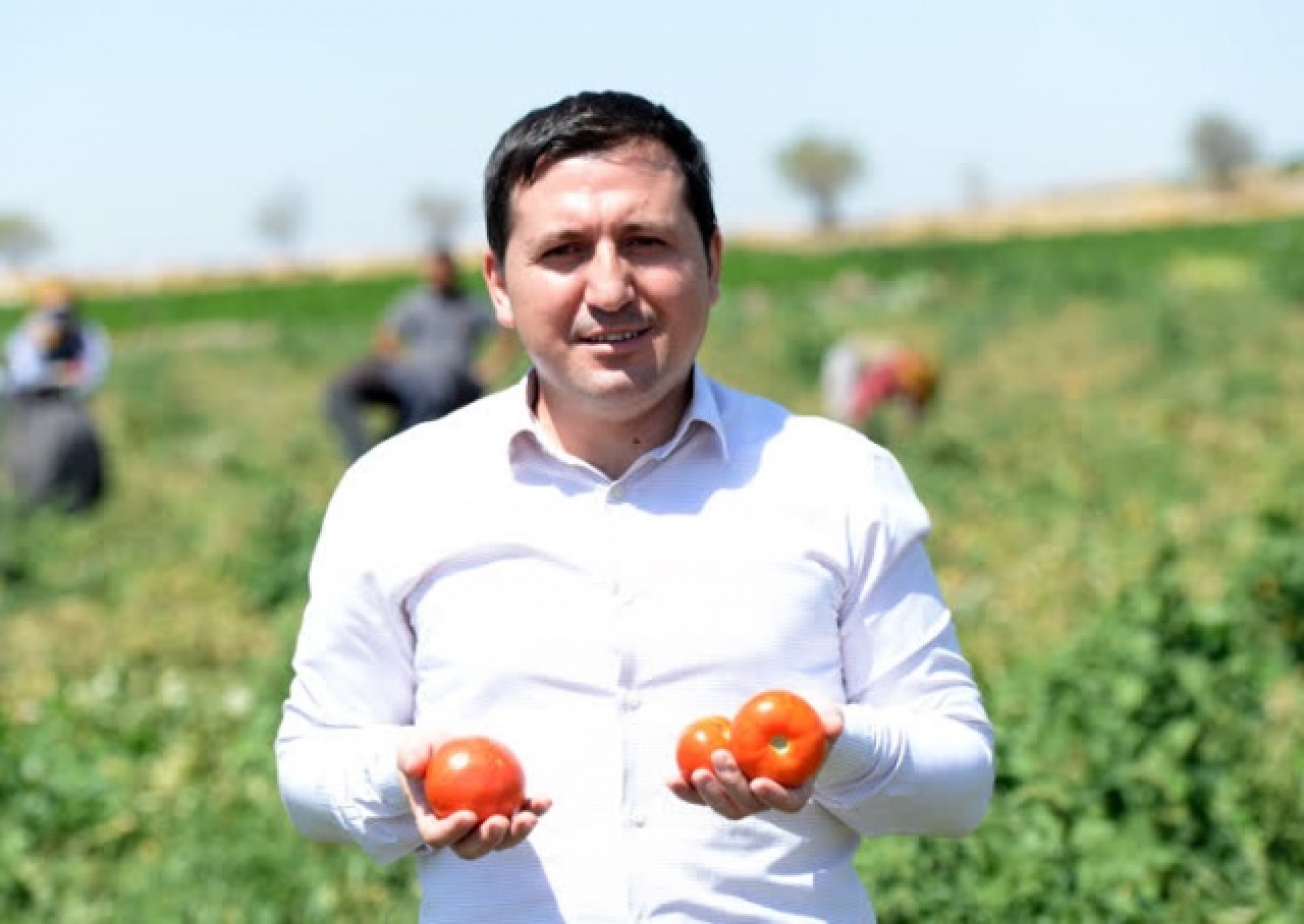 Kilisli çiftçiler,  Suriye pazarında yerini almak istiyor 2