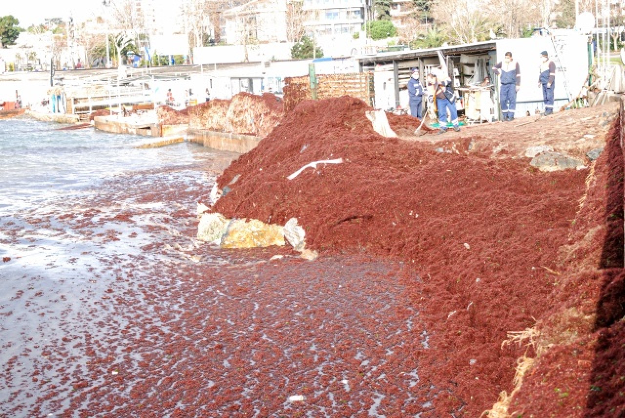 Caddebostan Sahili kırmızıya büründü 4