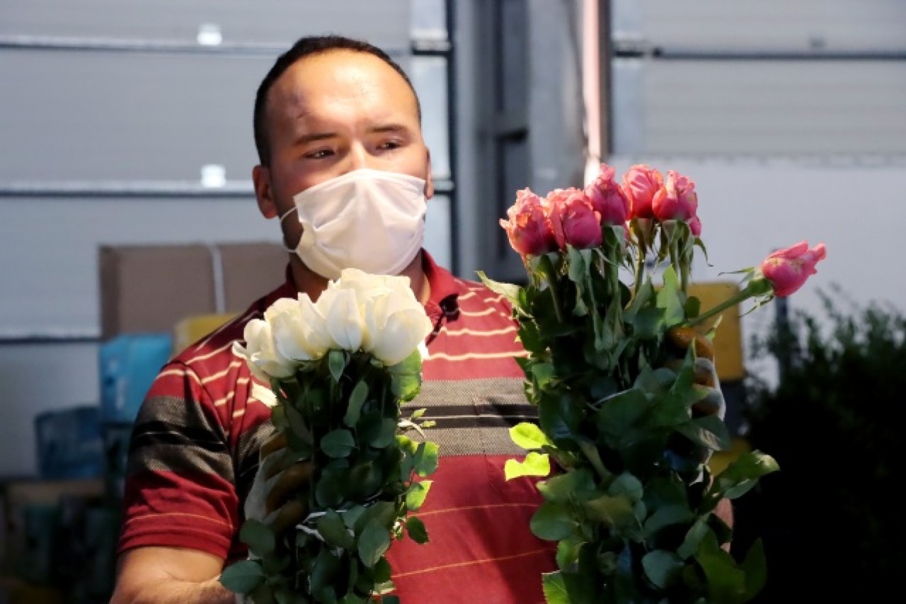 Çiçek mezatlarını "altın gün" heyecanı sardı 5