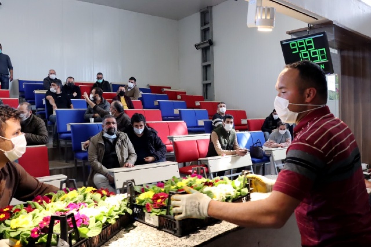 Çiçek mezatlarını "altın gün" heyecanı sardı 13