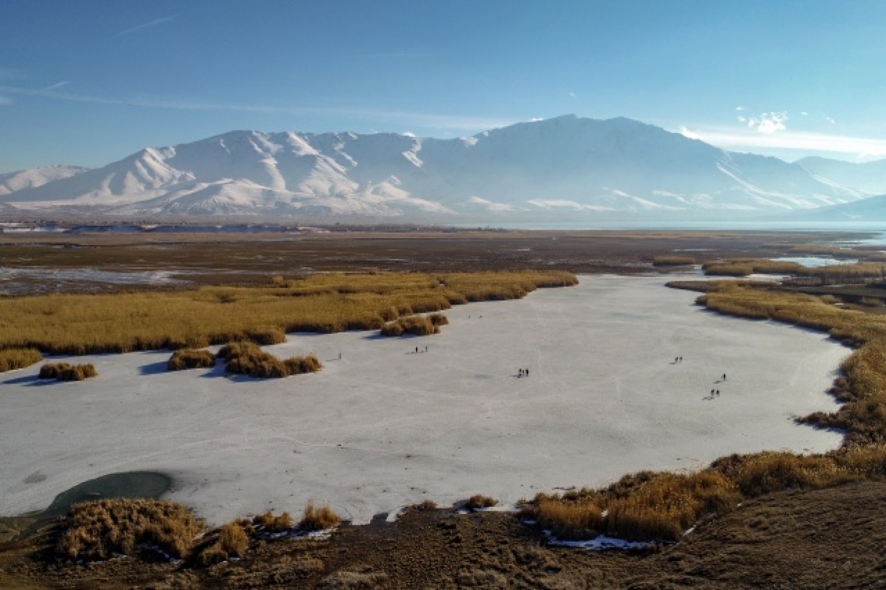 Van'da donan sazlıklar balıkçıların ve fotoğraf tutkunlarının uğrak yeri 4