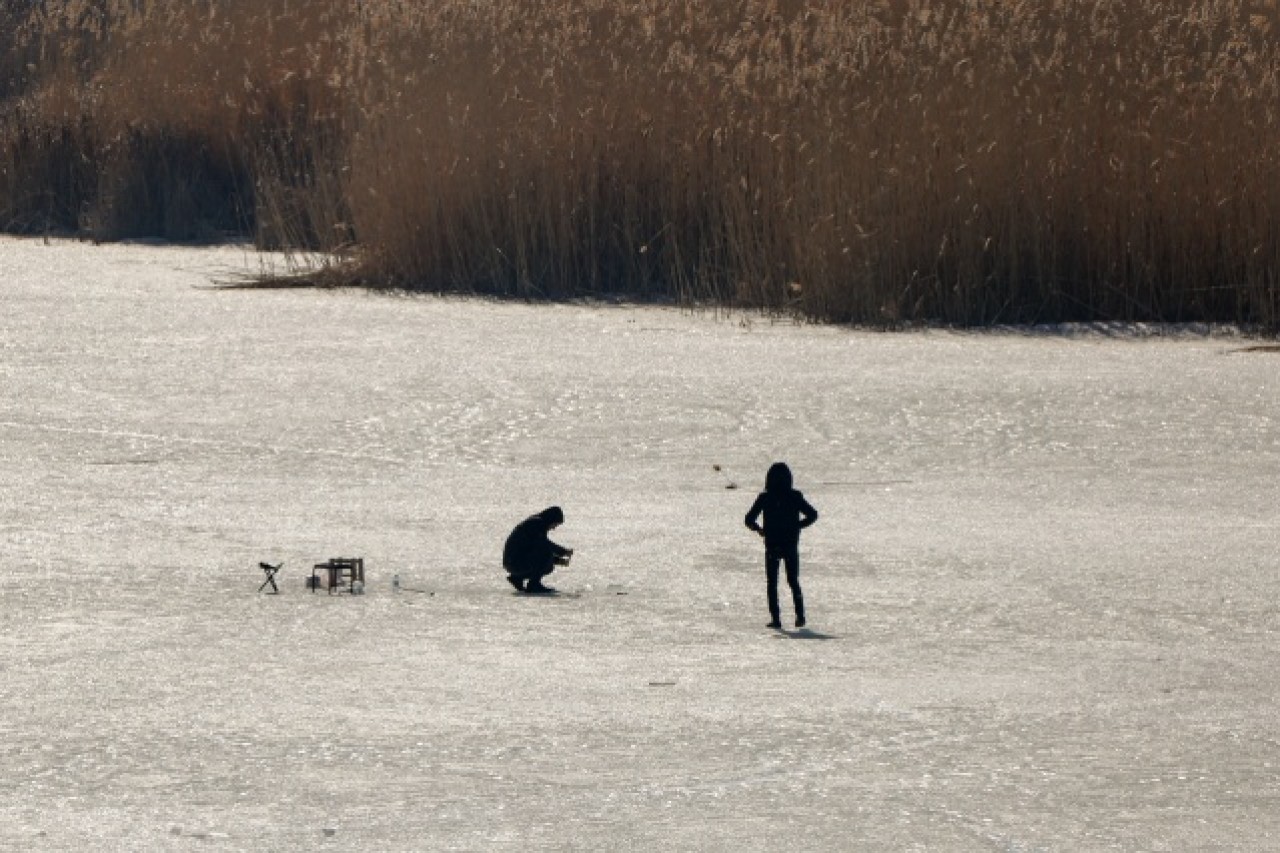 Van'da donan sazlıklar balıkçıların ve fotoğraf tutkunlarının uğrak yeri 8