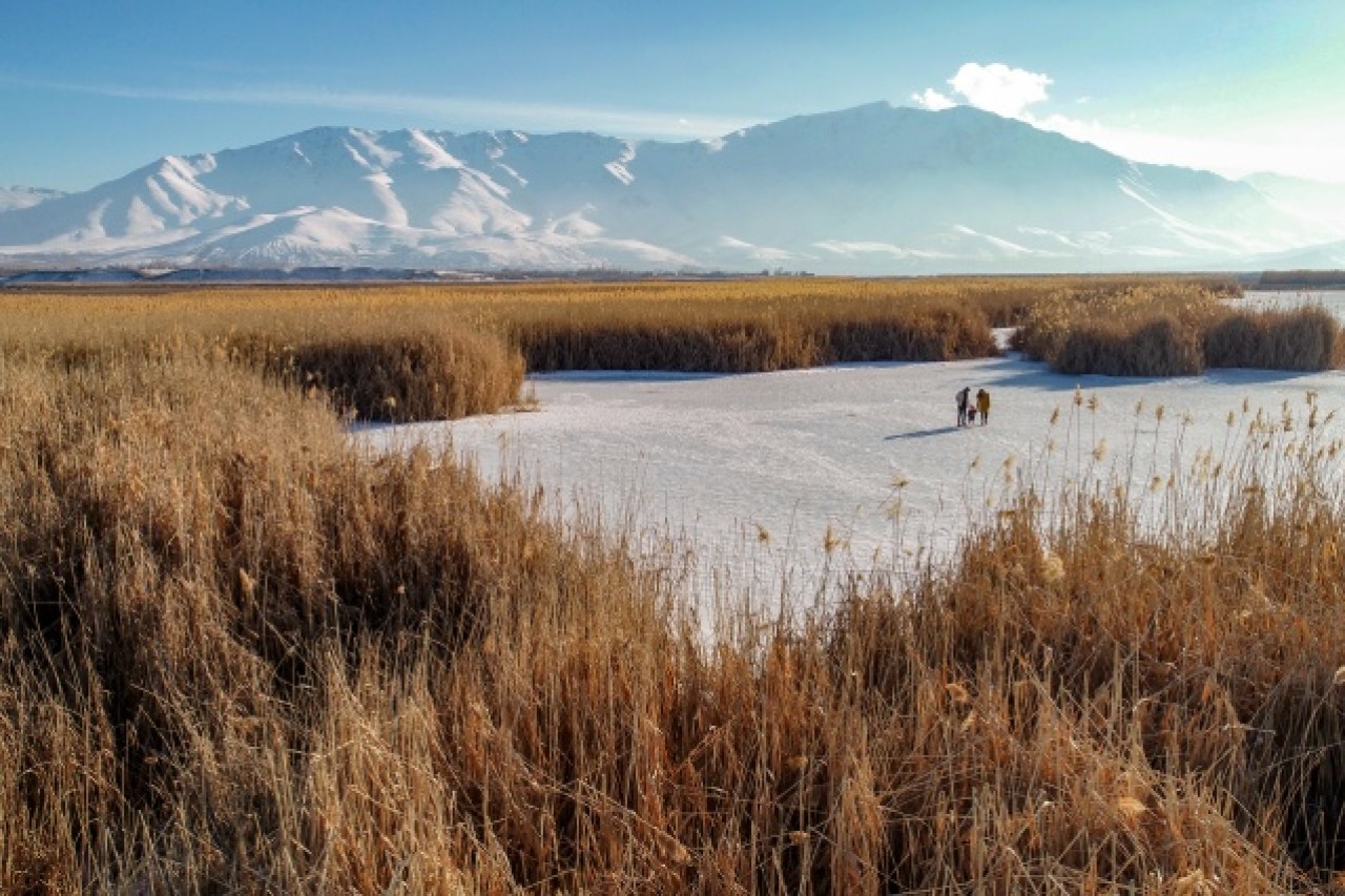 Van'da donan sazlıklar balıkçıların ve fotoğraf tutkunlarının uğrak yeri 9
