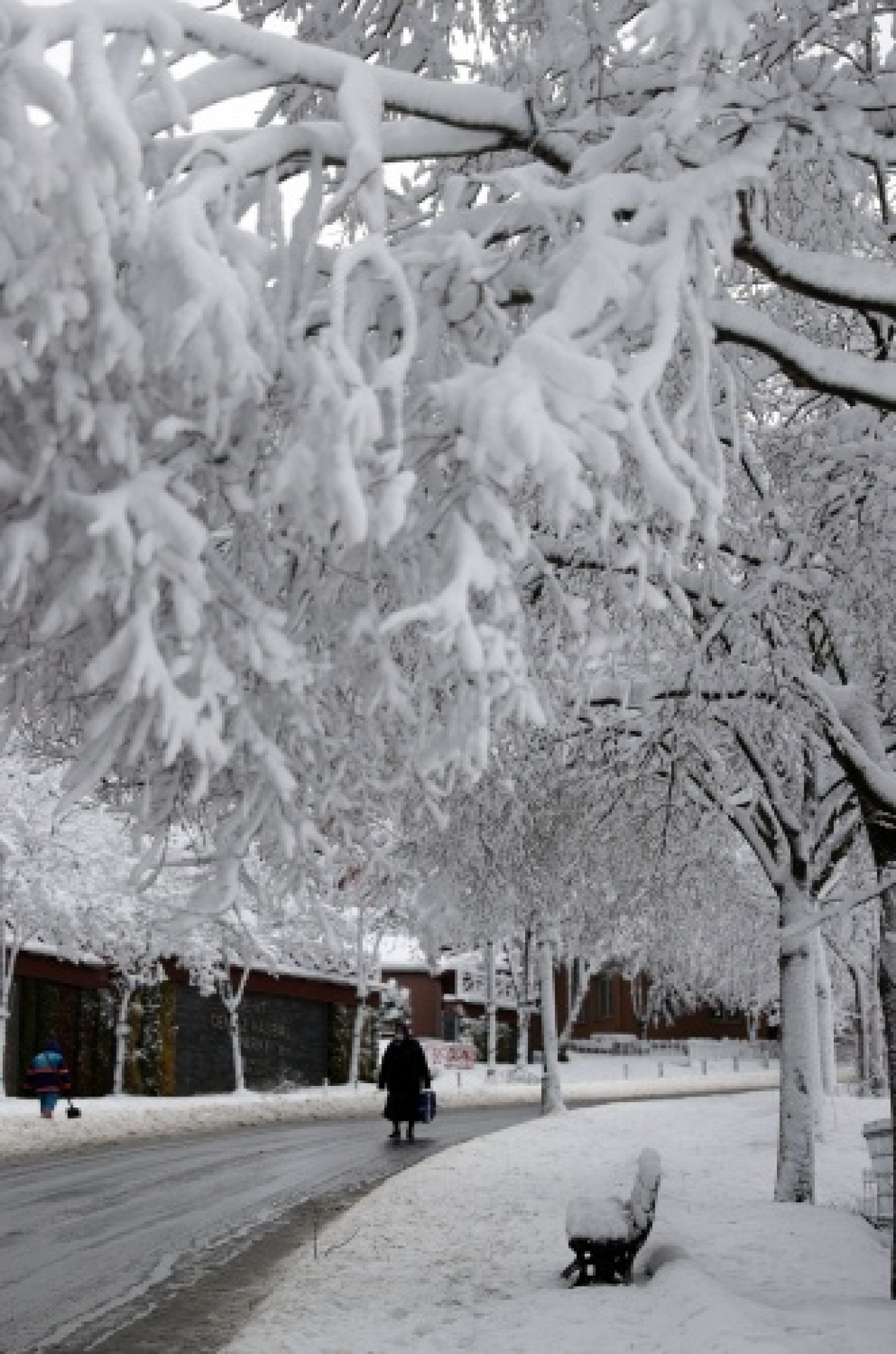 İstanbul beyaza büründü 6