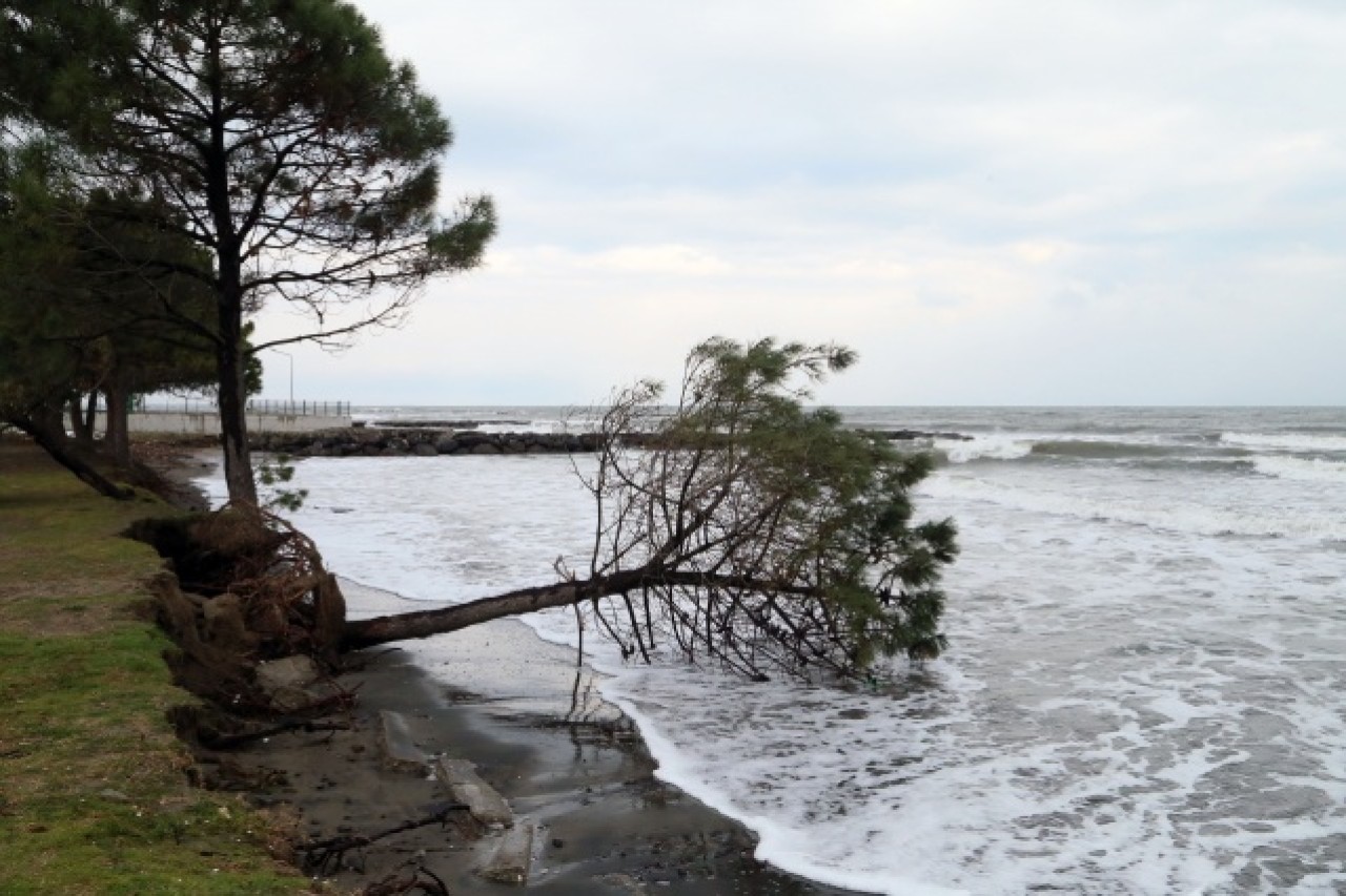 Karadeniz'de 3 metreyi bulan dalgalar tahribata yol açtı 2