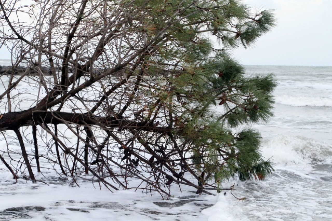 Karadeniz'de 3 metreyi bulan dalgalar tahribata yol açtı 5
