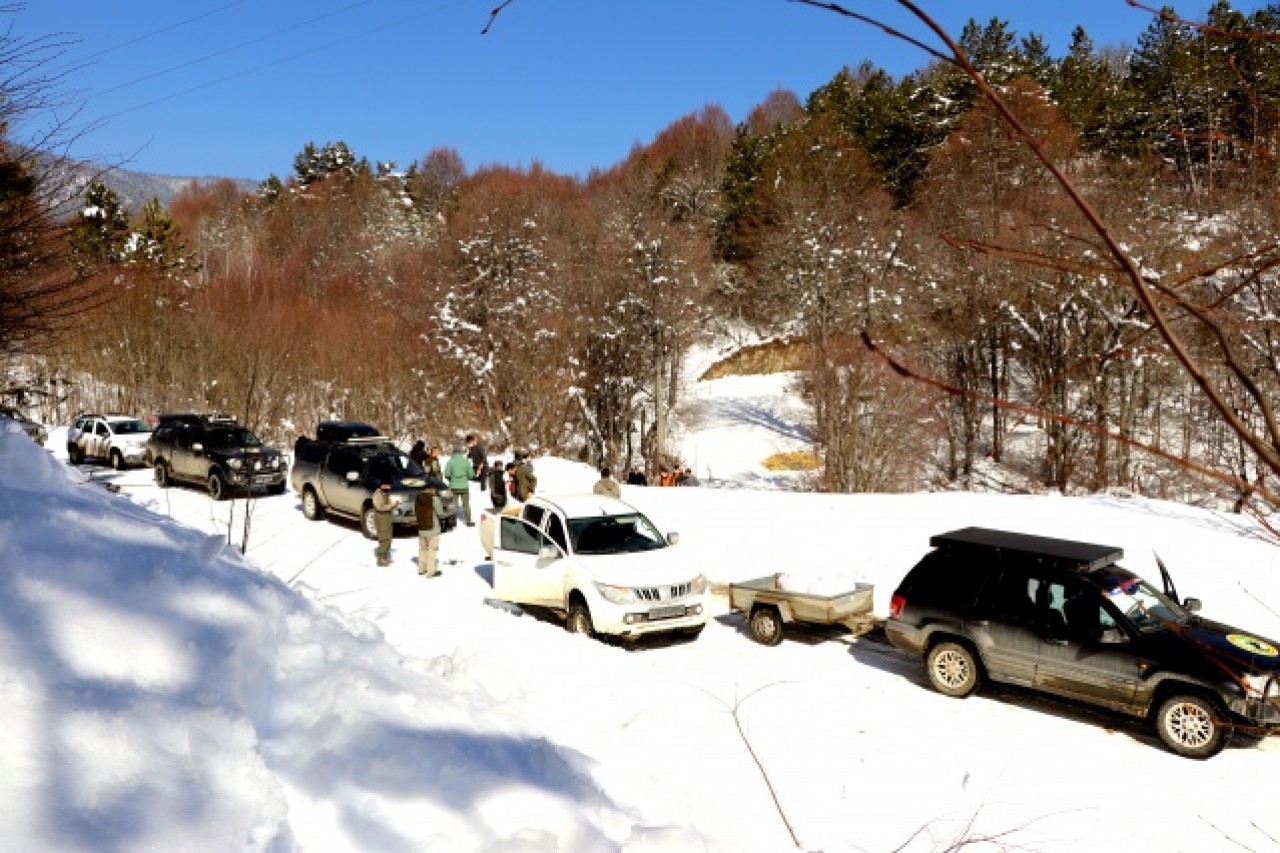 Bolu Dağı'ndaki yılkı atlarına yem bırakıldı 12