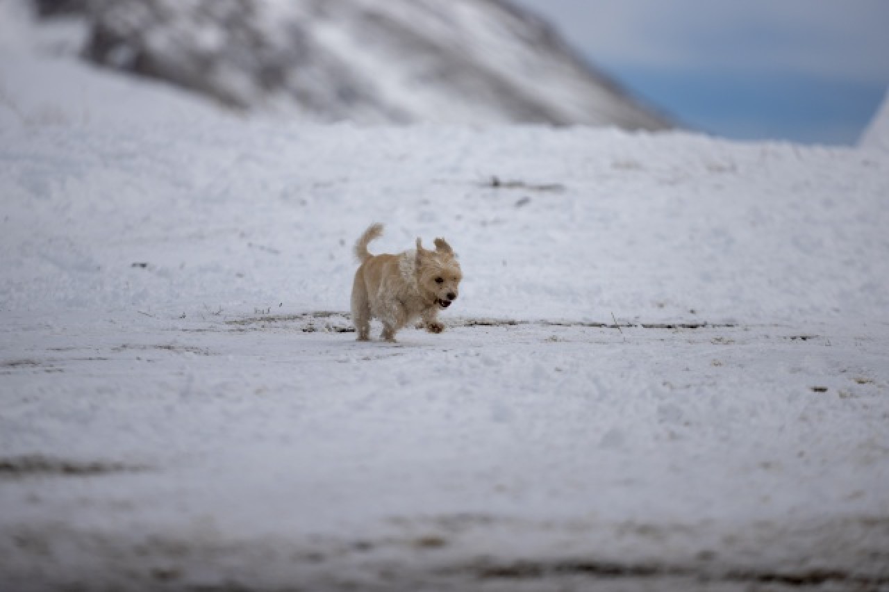 Antalya Saklıkent'te kayak keyfi yaşanıyor 14