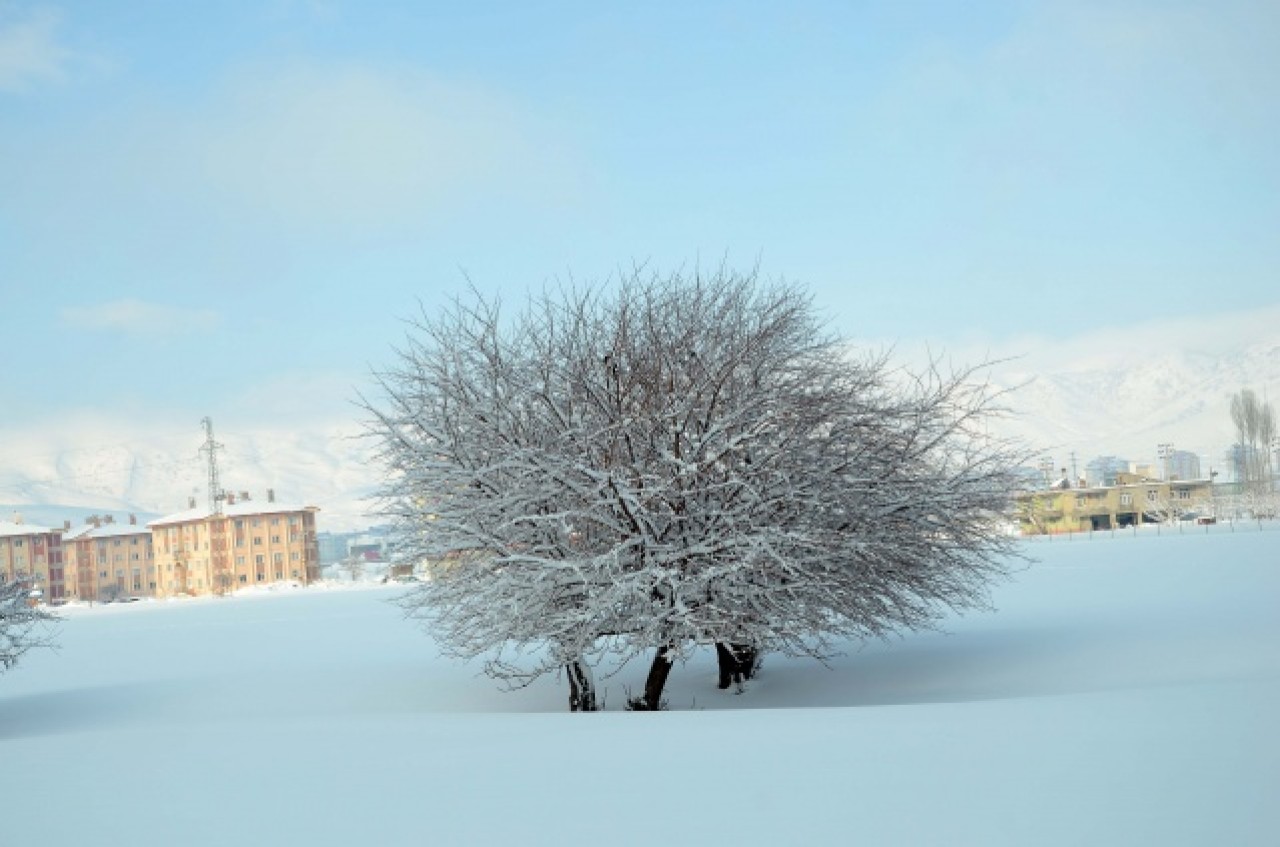 Doğu'da 450 yerleşim yerine ulaşım sağlanamıyor 9