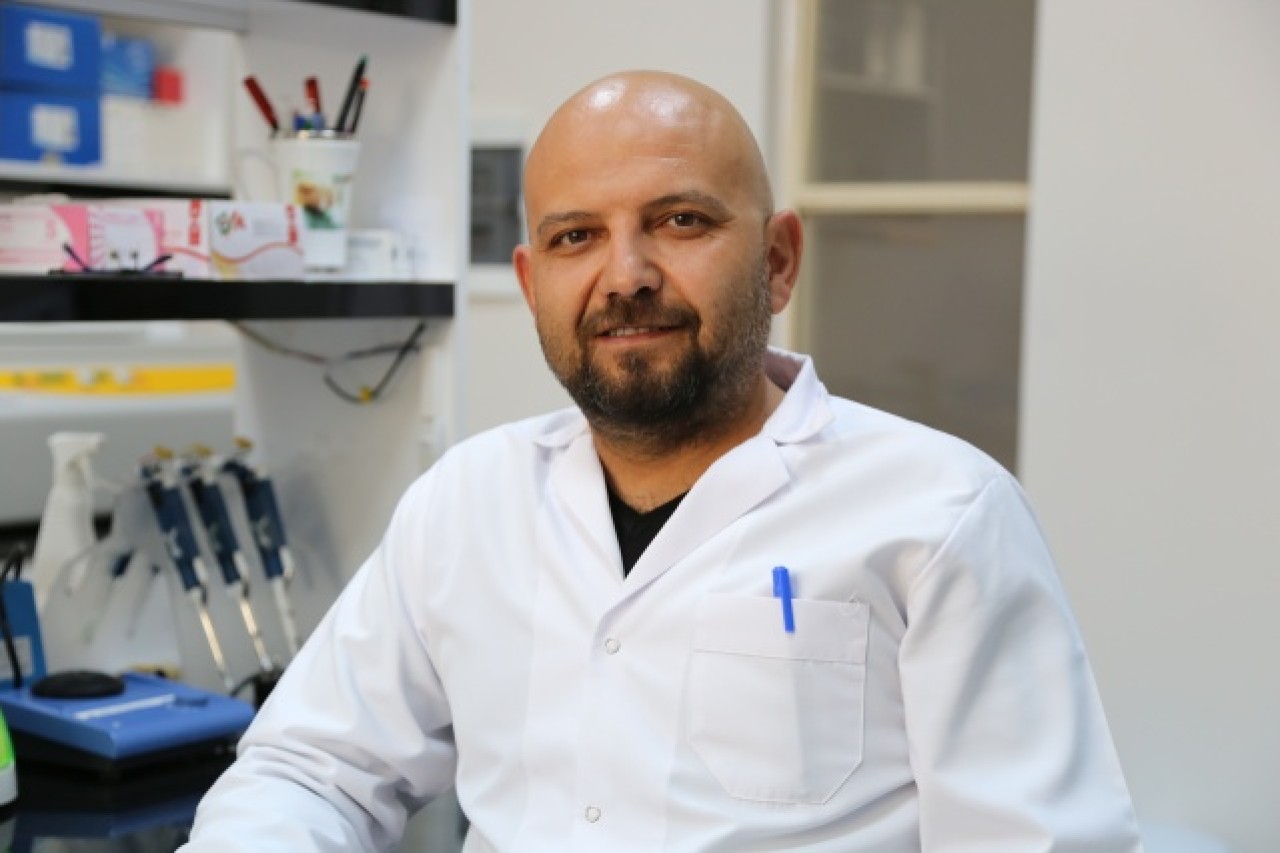 Sivas'ın taklacı güvercini tescillenecek 1