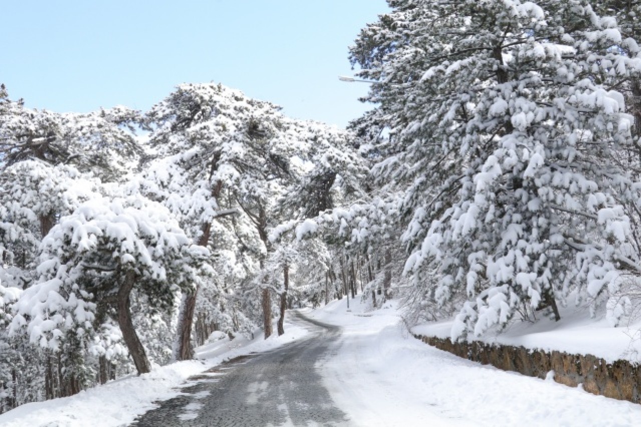 Türkiye'nin ilk milli parkı Çamlık Milli Parkı'nda kar yağışı 4
