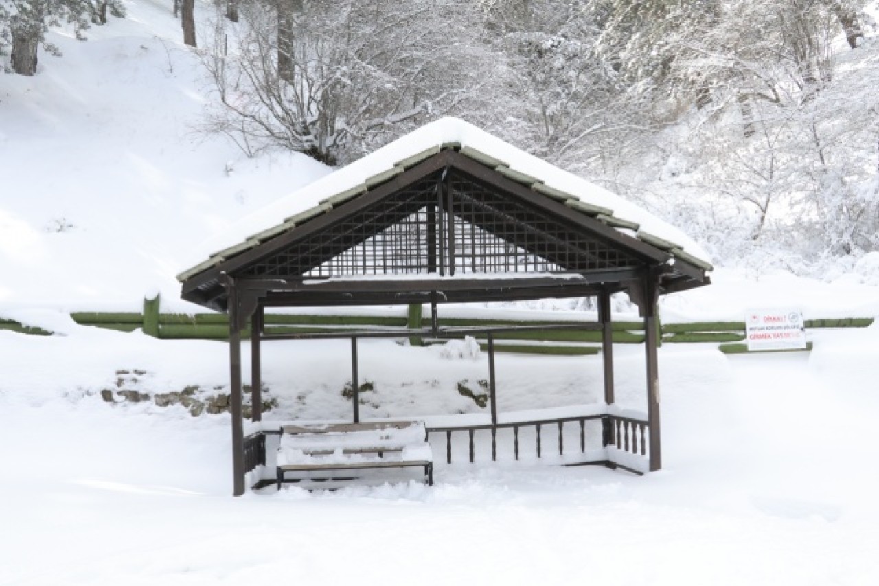 Türkiye'nin ilk milli parkı Çamlık Milli Parkı'nda kar yağışı 1