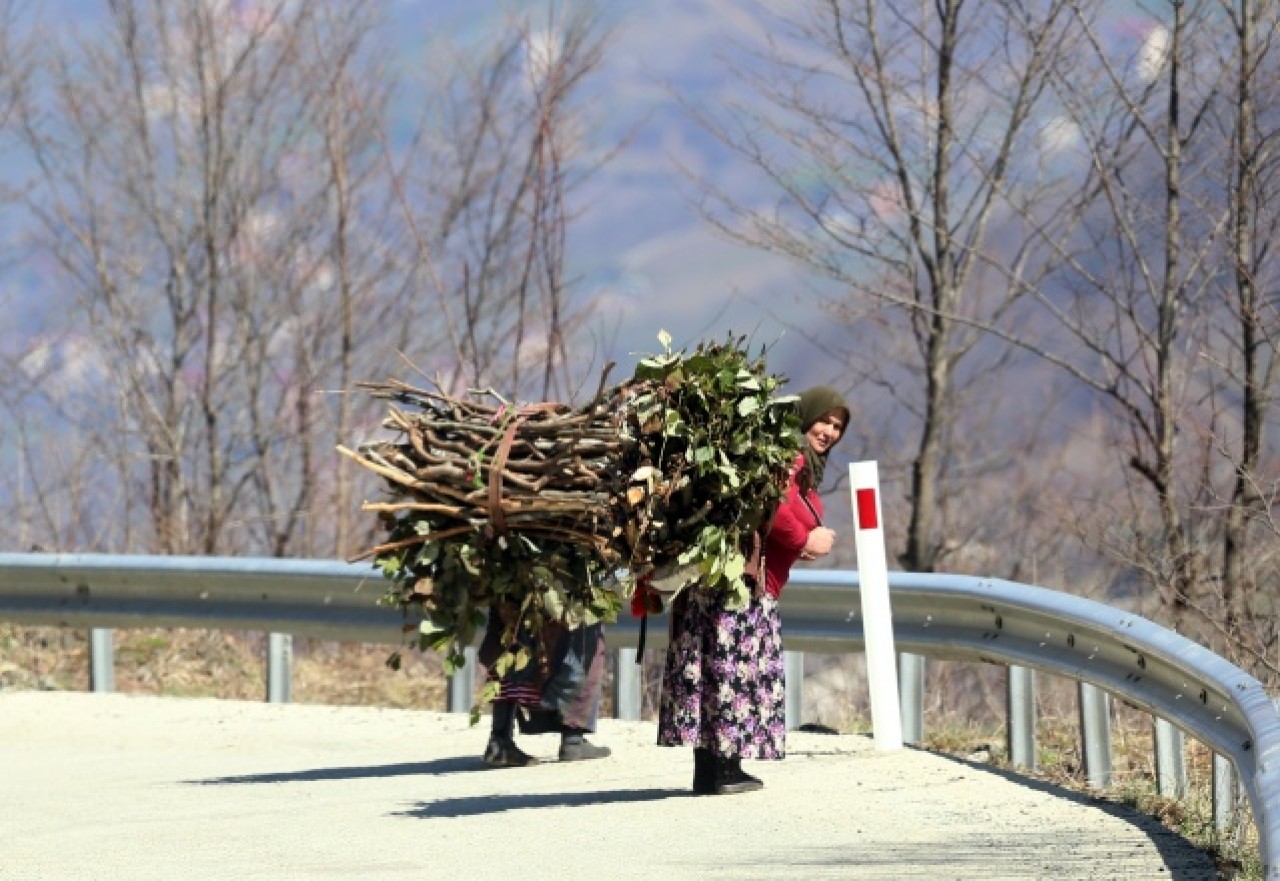 Doğu Karadenizli kadınların sabah başlayan yorucu mesaisi 1