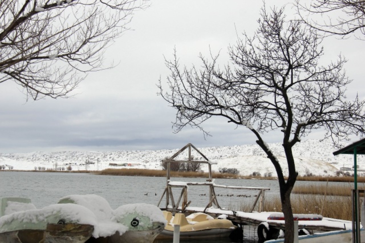 Sivas'ta kar yağışı 11