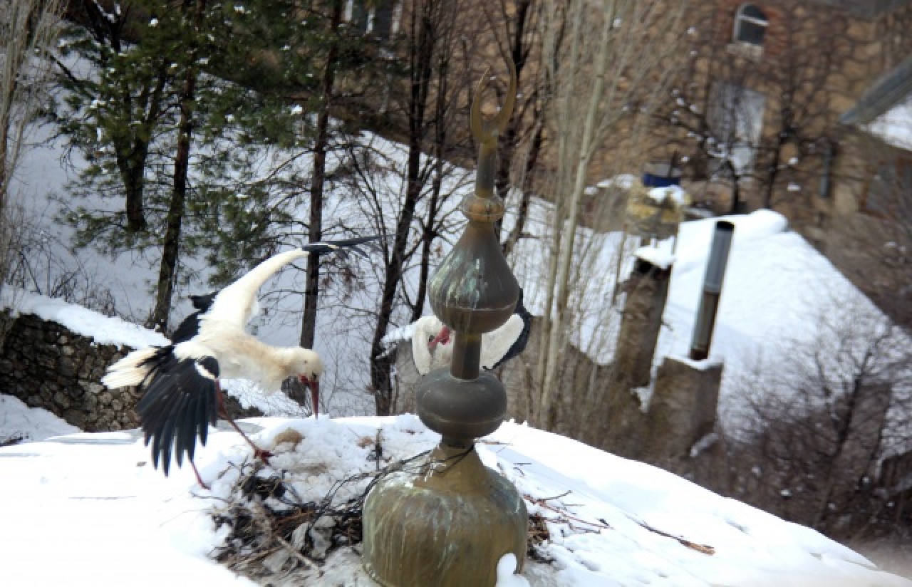 Sivas'ta kar yağışı 3