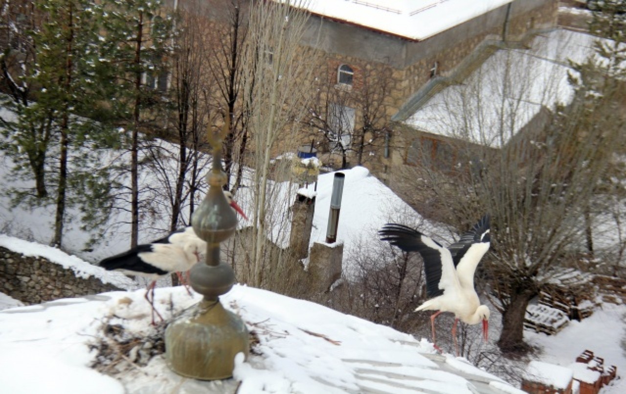 Sivas'ta kar yağışı 8