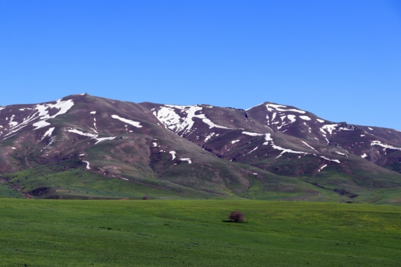 Baharın müjdecisi çiçekler Ağrı'da görsel şölen sunuyor 5