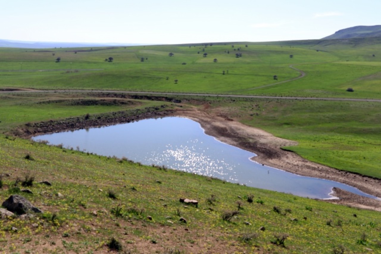 Baharın müjdecisi çiçekler Ağrı'da görsel şölen sunuyor 2