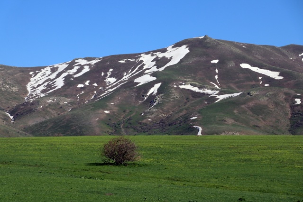 Baharın müjdecisi çiçekler Ağrı'da görsel şölen sunuyor 3