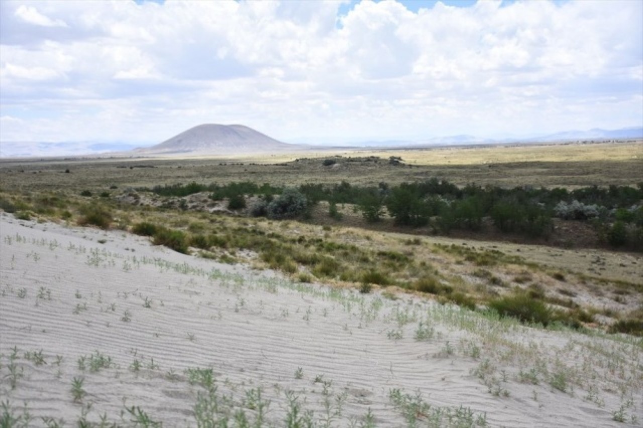 Dünyada ilk örnek: Yeşeren çöl Karapınar 2