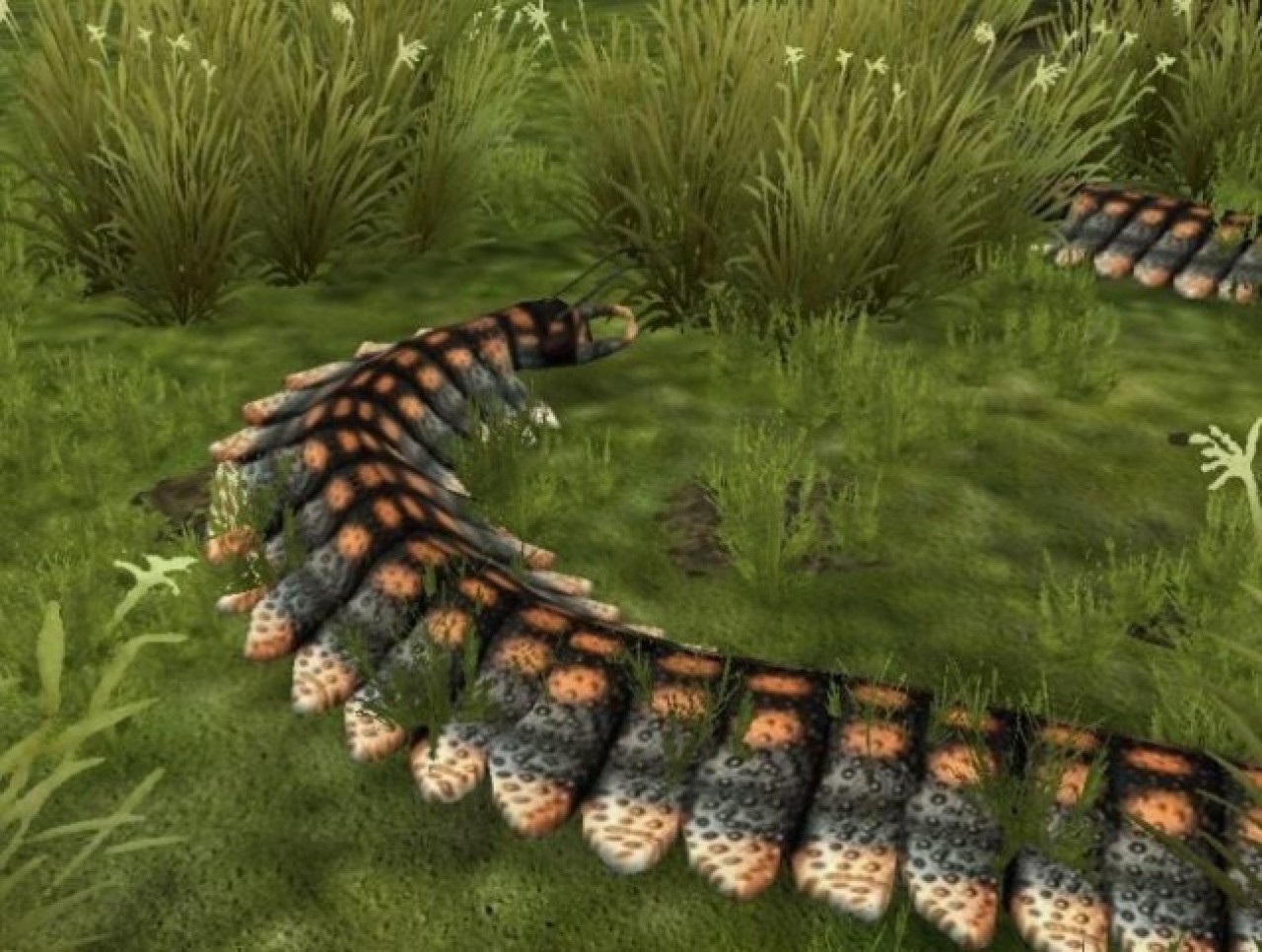 Düşen kaya ikiye ayrılınca ortaya çıktı! Dünyanın en büyük kırkayak fosili bulundu 6