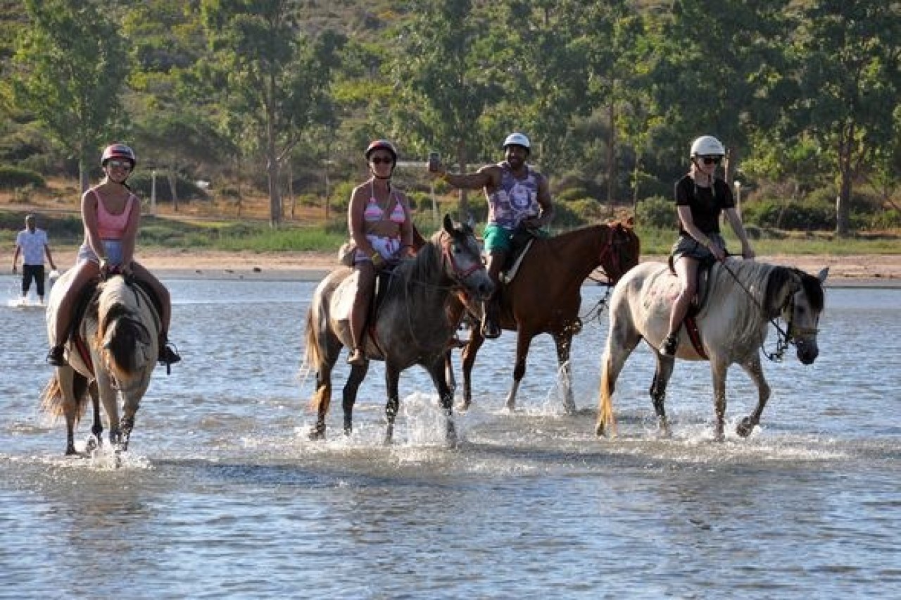 Turistlerden atlı safari turuna büyük ilgi 4