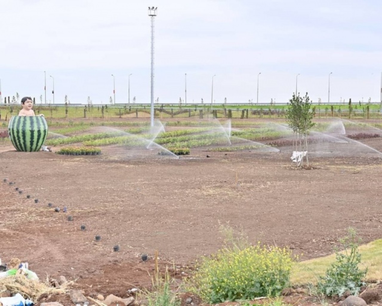 Diyarbakır'daki heykel tartışması büyüyor 3