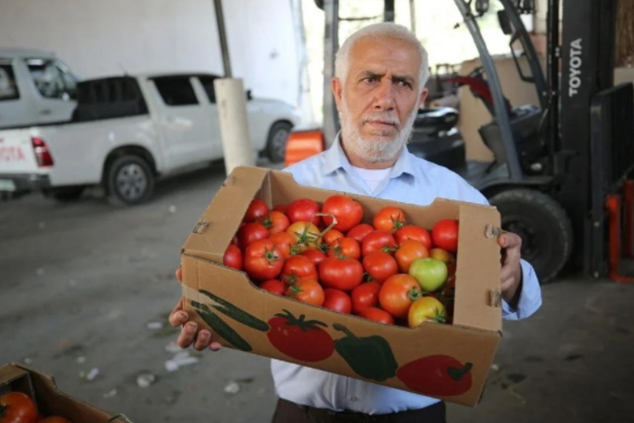 İsrail'in kararına tepki: Domates sapını tehdit gördüler 6