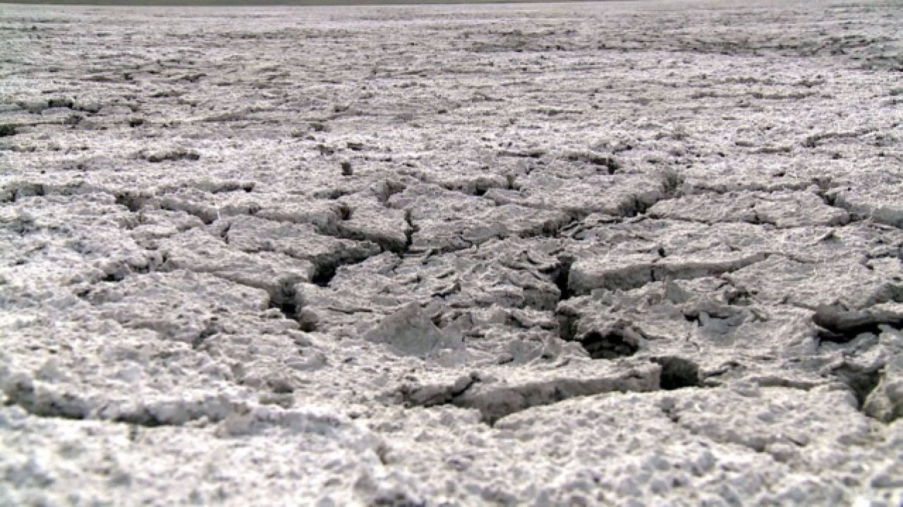Van'ın kuş cenneti Akgöl tamamen kurudu 7