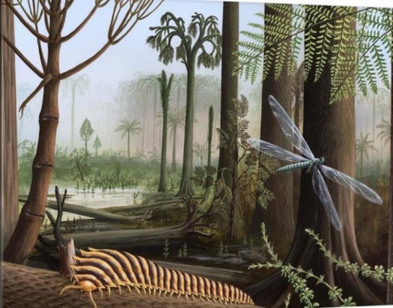 Düşen kaya ikiye ayrılınca ortaya çıktı! Dünyanın en büyük kırkayak fosili bulundu 7