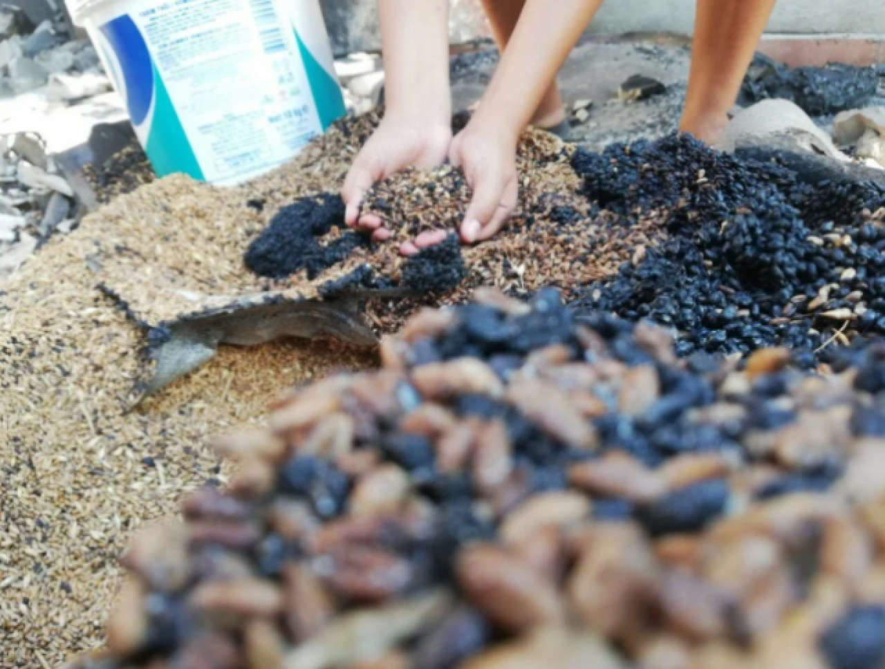 Küllerin arasından topladılar: Yangından geriye kalanlar 5