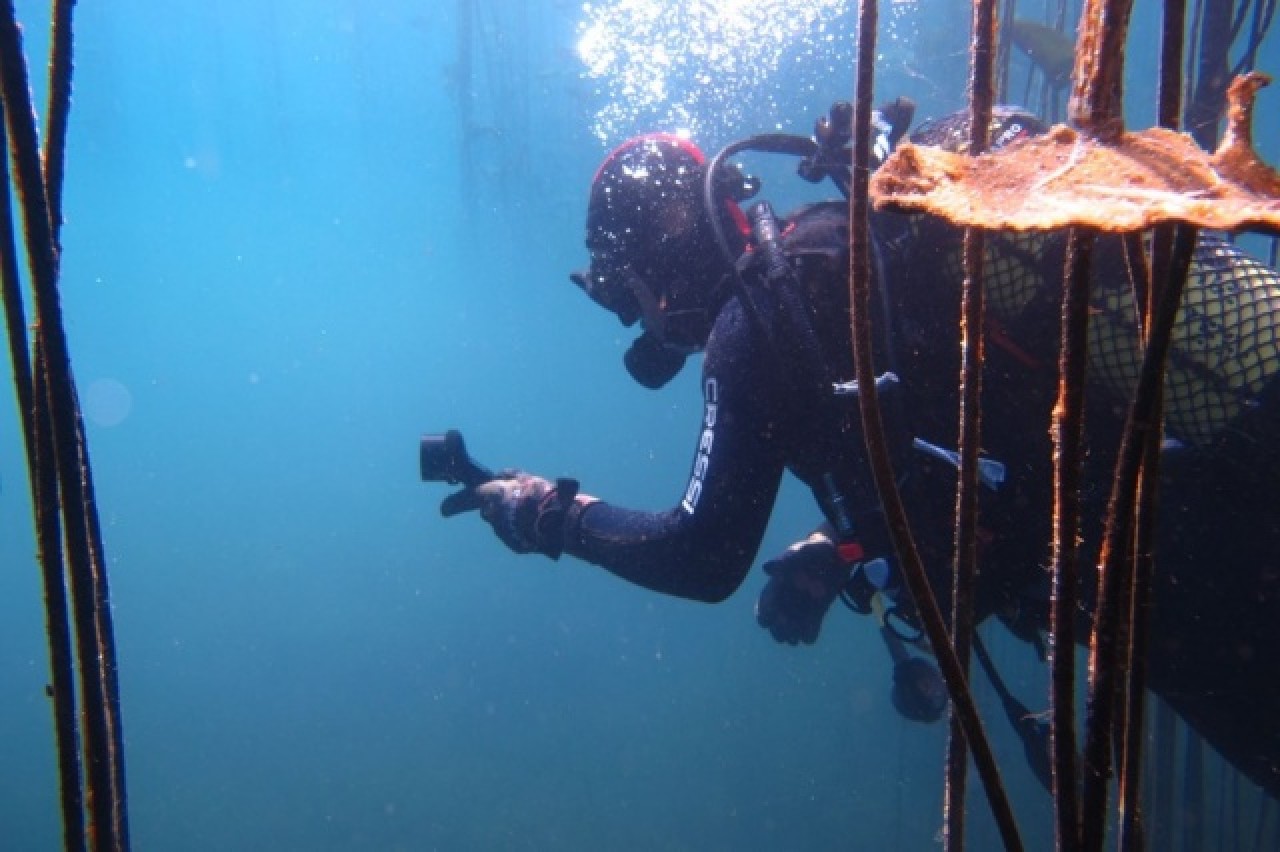 Antalyalı dalgıçlar suyun gözüne daldılar 7