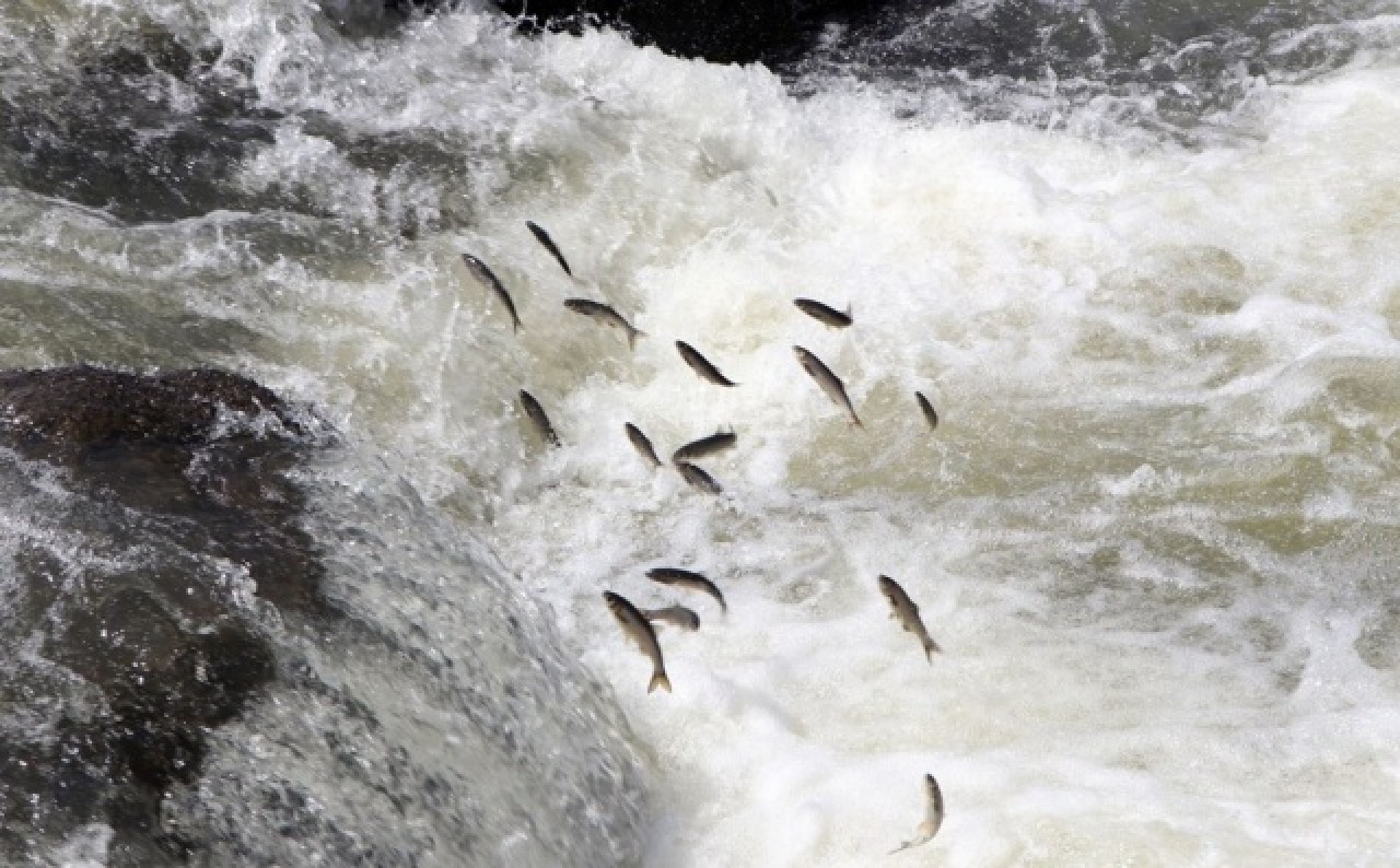 Van dünyanın dört bir yanından turist bekliyor 5