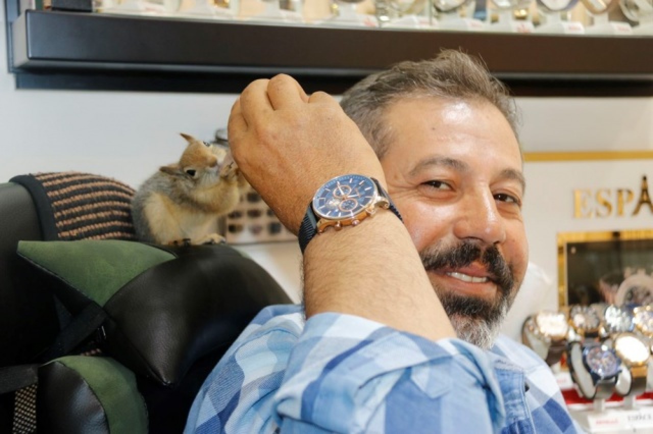 Binlerce liralık kasayı sincap koruyor 5