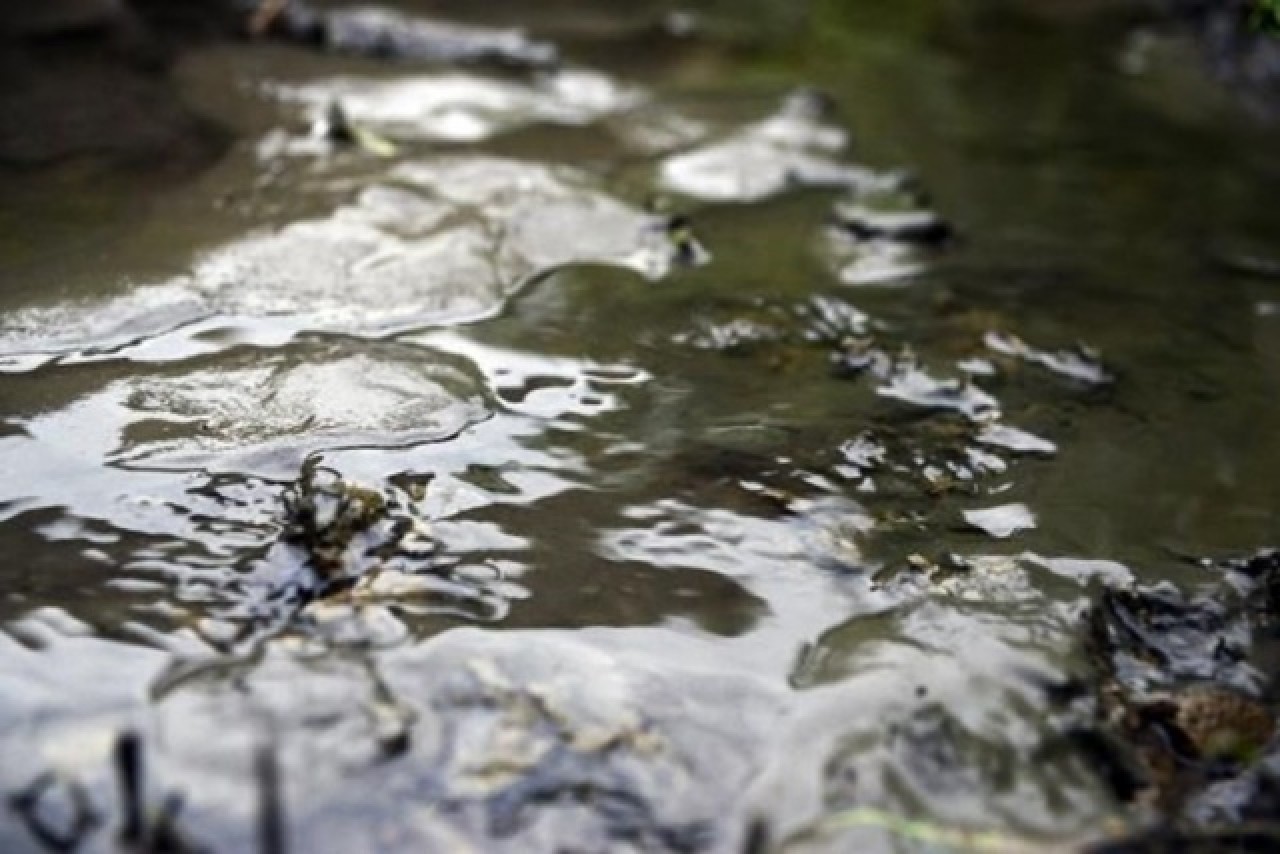 “Marmara Denizi,  Marmara Bölgesi’nin foseptik çukuru haline döndü” 7