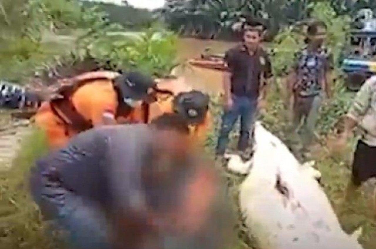 Dev timsah 8 yaşındaki çocuğu yuttu! 7