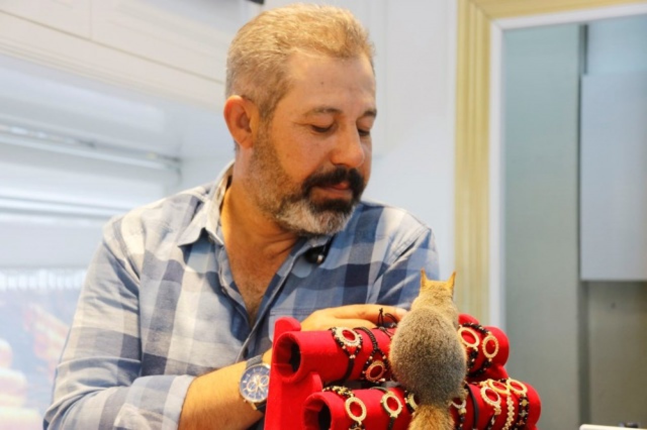 Binlerce liralık kasayı sincap koruyor 4