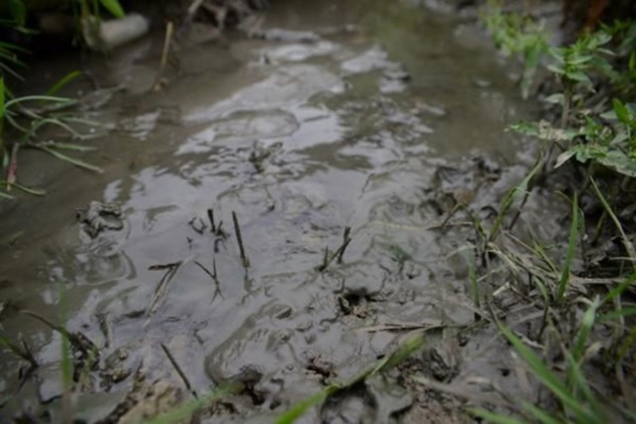 “Marmara Denizi,  Marmara Bölgesi’nin foseptik çukuru haline döndü” 5