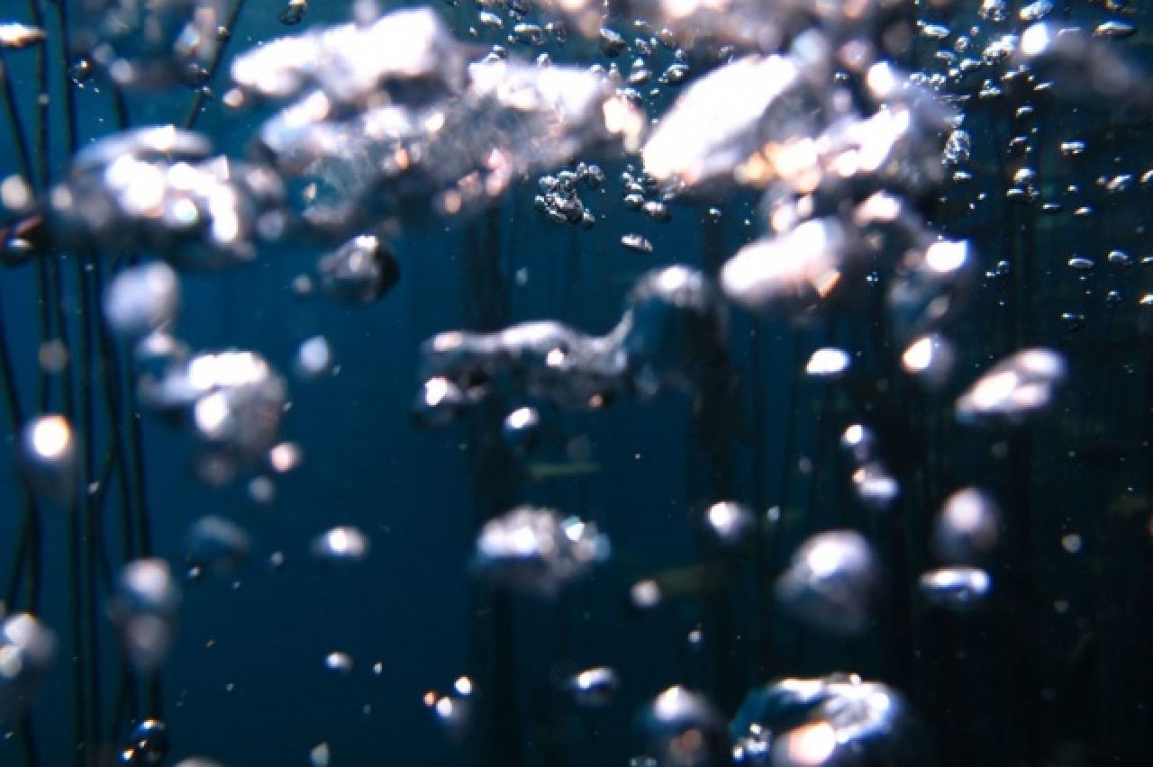 Antalyalı dalgıçlar suyun gözüne daldılar 9