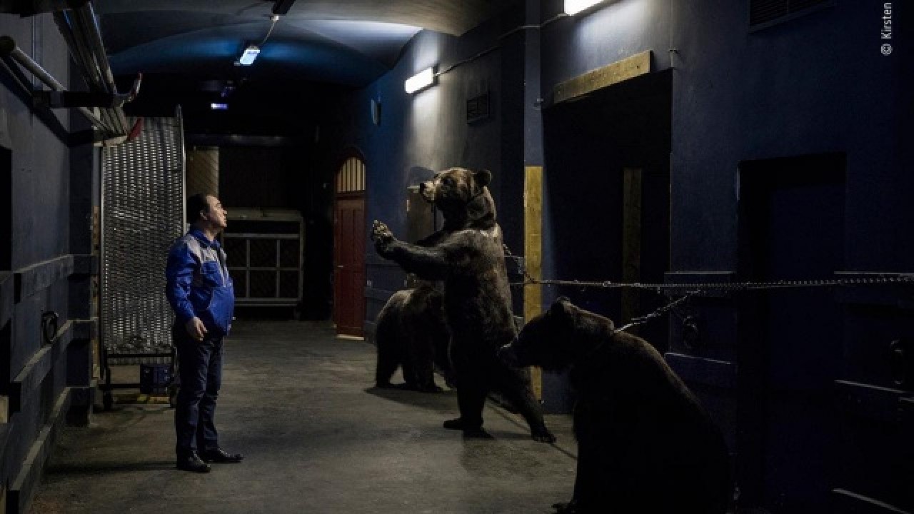 2020 'Yılın Doğa Fotoğrafları' belli oldu 5